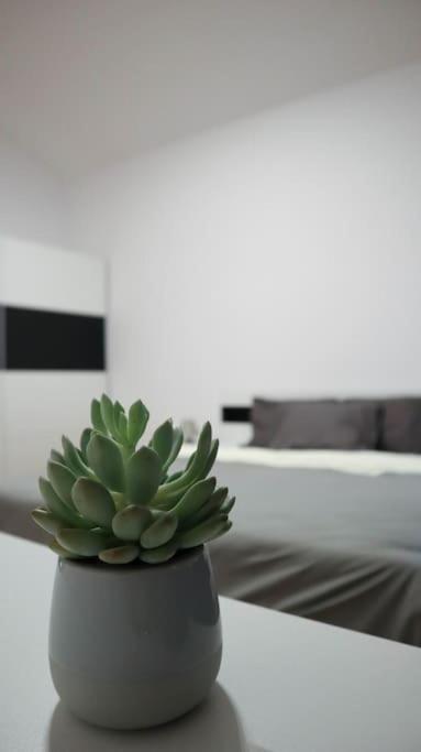 Modern Apartment In The Center Of Prague Extérieur photo